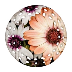 Beautiful Colourful African Daisies Ornament (round Filigree) 