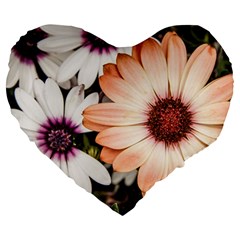 Beautiful Colourful African Daisies Large 19  Premium Flano Heart Shape Cushions