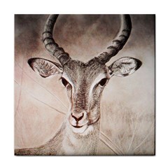 Antelope Horns Face Towel by TwoFriendsGallery