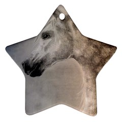 Grey Arabian Horse Star Ornament (two Sides)  by TwoFriendsGallery