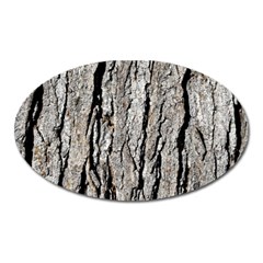 Tree Bark Oval Magnet by trendistuff