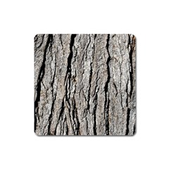 Tree Bark Square Magnet by trendistuff