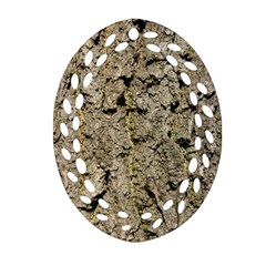 Grey Tree Bark Ornament (oval Filigree)  by trendistuff