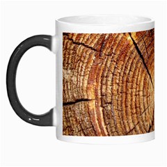 Cross Section Of An Old Tree Morph Mugs by trendistuff