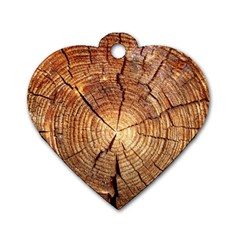 Cross Section Of An Old Tree Dog Tag Heart (two Sides) by trendistuff