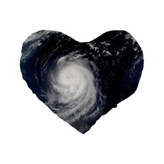 Hurricane Irene Standard 16  Premium Heart Shape Cushions