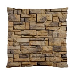 Block Wall 1 Standard Cushion Case (one Side)  by trendistuff