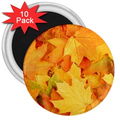 Yellow Maple Leaves 3  Magnets (10 Pack)  by trendistuff