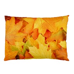 Yellow Maple Leaves Pillow Cases (two Sides)