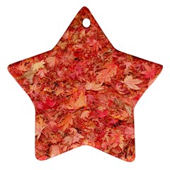 RED MAPLE LEAVES Ornament (Star) 