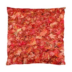 RED MAPLE LEAVES Standard Cushion Cases (Two Sides) 