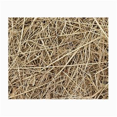 Light Colored Straw Small Glasses Cloth (2-side) by trendistuff