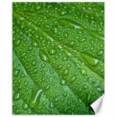 Green Leaf Drops Canvas 16  X 20   by trendistuff