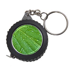 GREEN LEAF DROPS Measuring Tapes