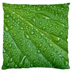 Green Leaf Drops Standard Flano Cushion Cases (two Sides)  by trendistuff