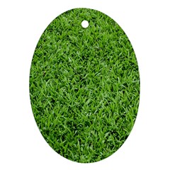 Green Grass 2 Oval Ornament (two Sides) by trendistuff