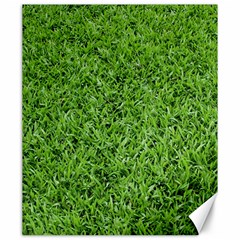 Green Grass 2 Canvas 20  X 24   by trendistuff