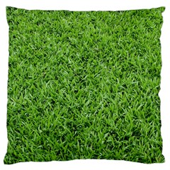 Green Grass 2 Standard Flano Cushion Cases (two Sides)  by trendistuff