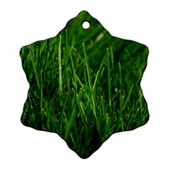 Green Grass 1 Snowflake Ornament (2-side) by trendistuff