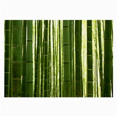 Bamboo Grove 2 Large Glasses Cloth (2-side) by trendistuff