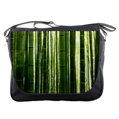 Bamboo Grove 2 Messenger Bags by trendistuff