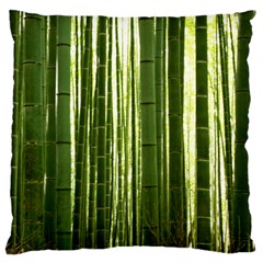 Bamboo Grove 2 Large Flano Cushion Cases (one Side)  by trendistuff