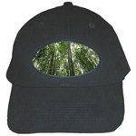 BAMBOO GROVE 1 Black Cap