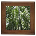 BAMBOO GROVE 1 Framed Tiles