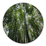 BAMBOO GROVE 1 Round Mousepads