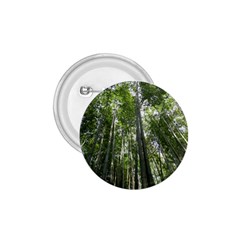 Bamboo Grove 1 1 75  Buttons by trendistuff