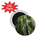 BAMBOO GROVE 1 1.75  Magnets (100 pack) 