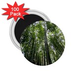BAMBOO GROVE 1 2.25  Magnets (100 pack) 