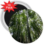 BAMBOO GROVE 1 3  Magnets (10 pack) 