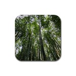 BAMBOO GROVE 1 Rubber Coaster (Square) 