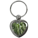 BAMBOO GROVE 1 Key Chains (Heart) 