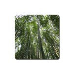 BAMBOO GROVE 1 Square Magnet