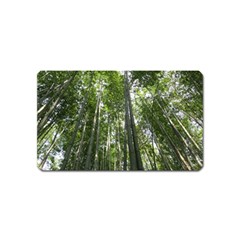 Bamboo Grove 1 Magnet (name Card) by trendistuff