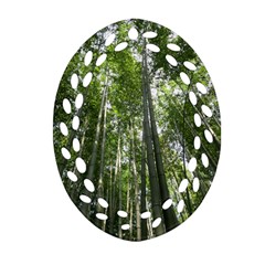 Bamboo Grove 1 Ornament (oval Filigree)  by trendistuff
