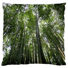 Bamboo Grove 1 Large Cushion Cases (two Sides)  by trendistuff