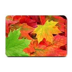 Autumn Leaves 1 Small Doormat  by trendistuff