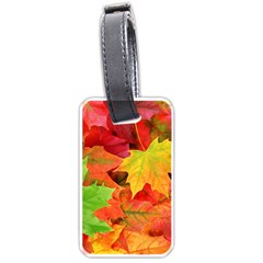 Autumn Leaves 1 Luggage Tags (one Side)  by trendistuff