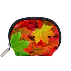 Autumn Leaves 1 Accessory Pouches (small)  by trendistuff