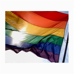 Pride Flag Small Glasses Cloth (2-side)