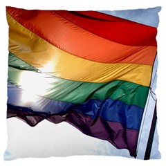 Pride Flag Standard Flano Cushion Cases (two Sides)  by trendistuff