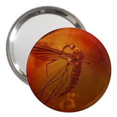 Mosquito In Amber 3  Handbag Mirrors by trendistuff