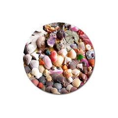 Colorful Sea Shells Magnet 3  (round) by trendistuff