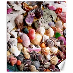 Colorful Sea Shells Canvas 8  X 10  by trendistuff