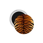 TIGER FUR 1.75  Magnets Front