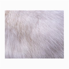 Rabbit Fur Small Glasses Cloth (2-side) by trendistuff