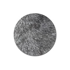 Grey Wolf Fur Magnet 3  (round) by trendistuff